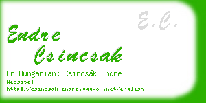 endre csincsak business card