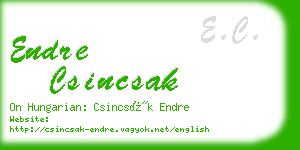 endre csincsak business card